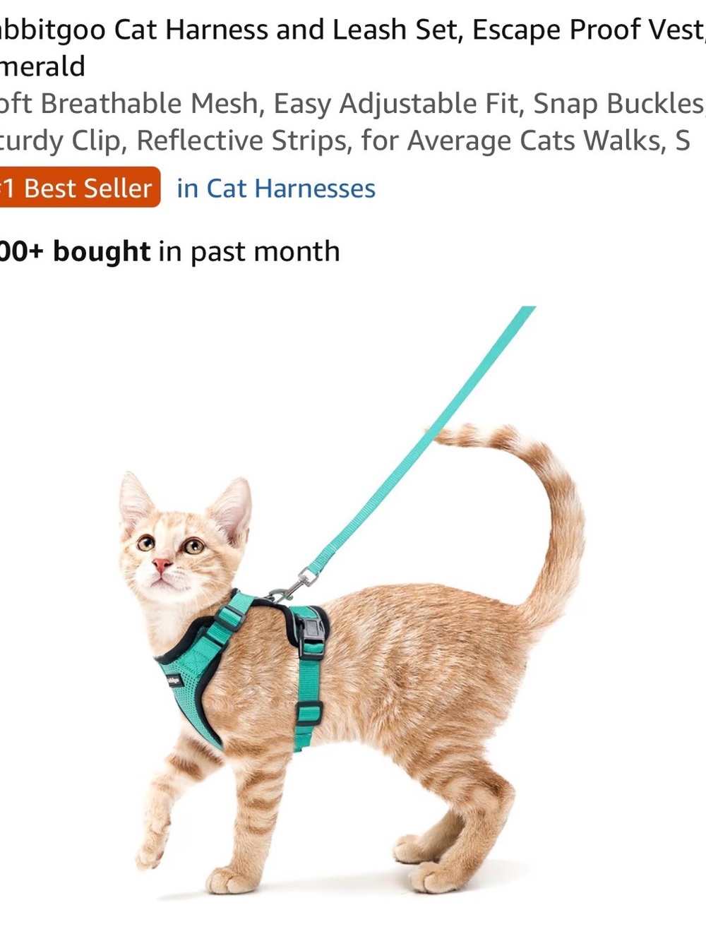 Cat harness